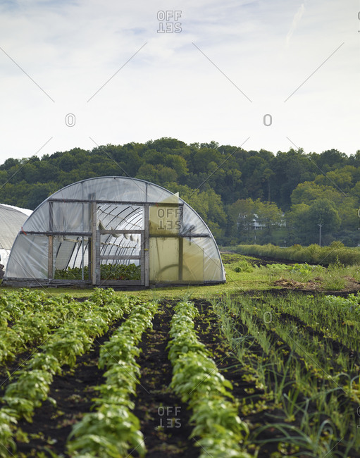 A greenhouse on a farm