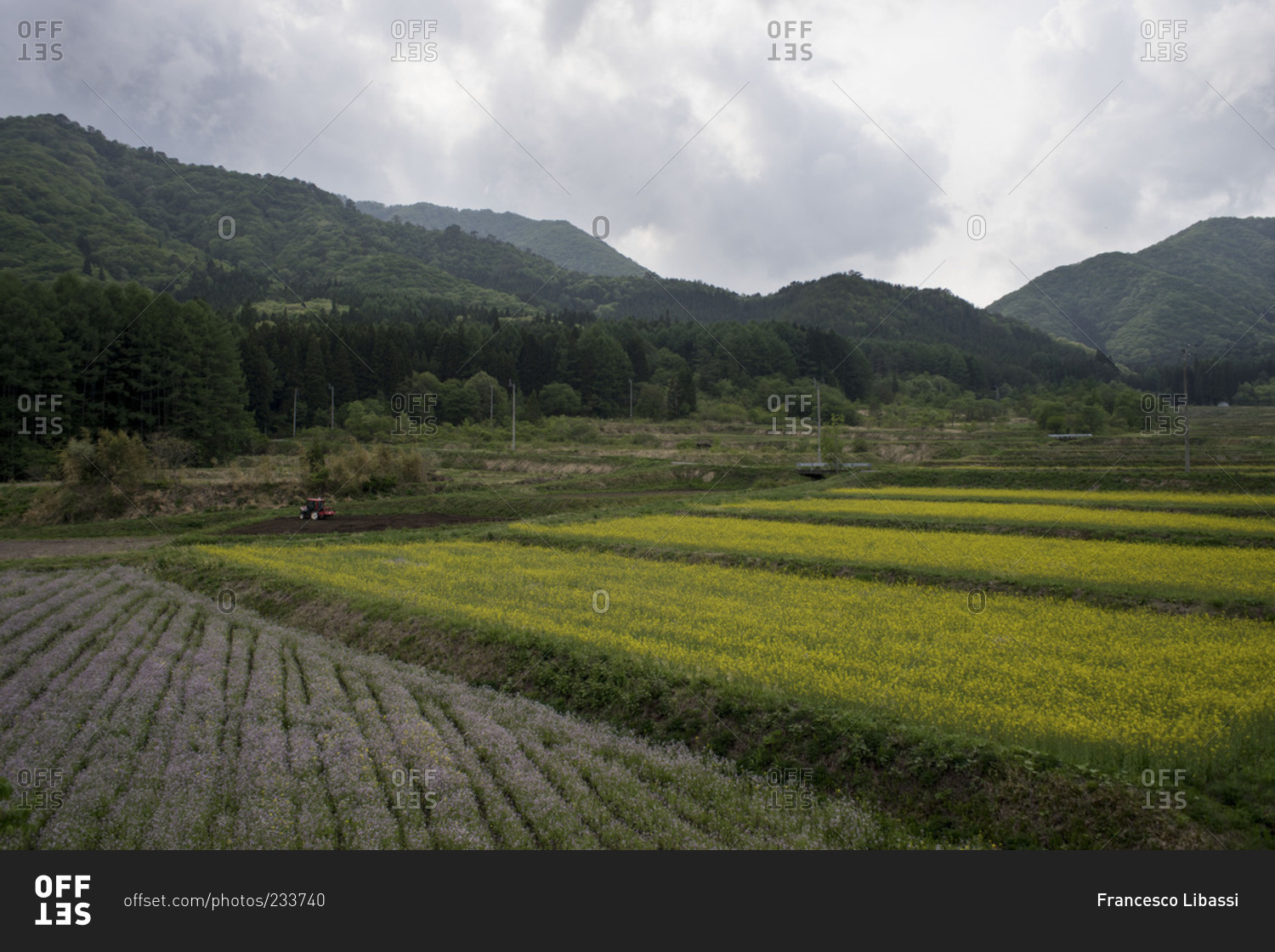 Rich farmland in the Fukushima countryside, Japan stock photo OFFSET
