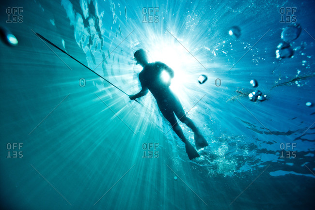 A spear fisherman swimming through the water off the coast of Catalina Island, CA