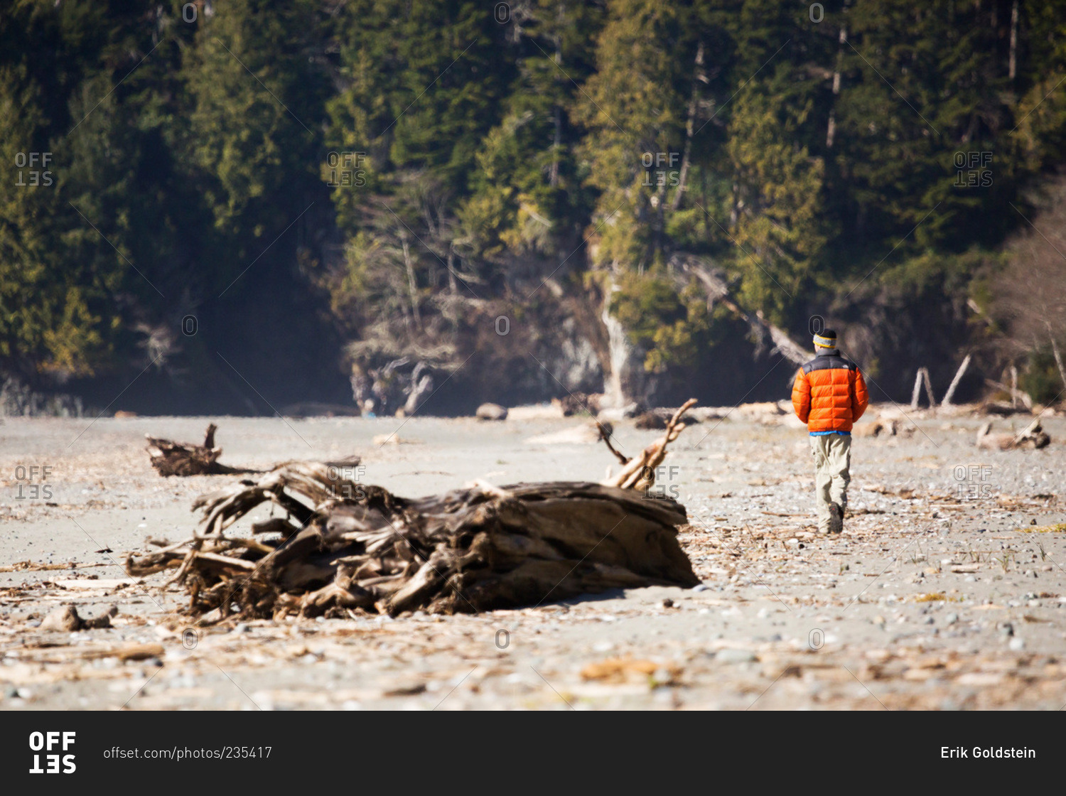 Hiker walking past large pieces of driftwood on Vancouver Island beach