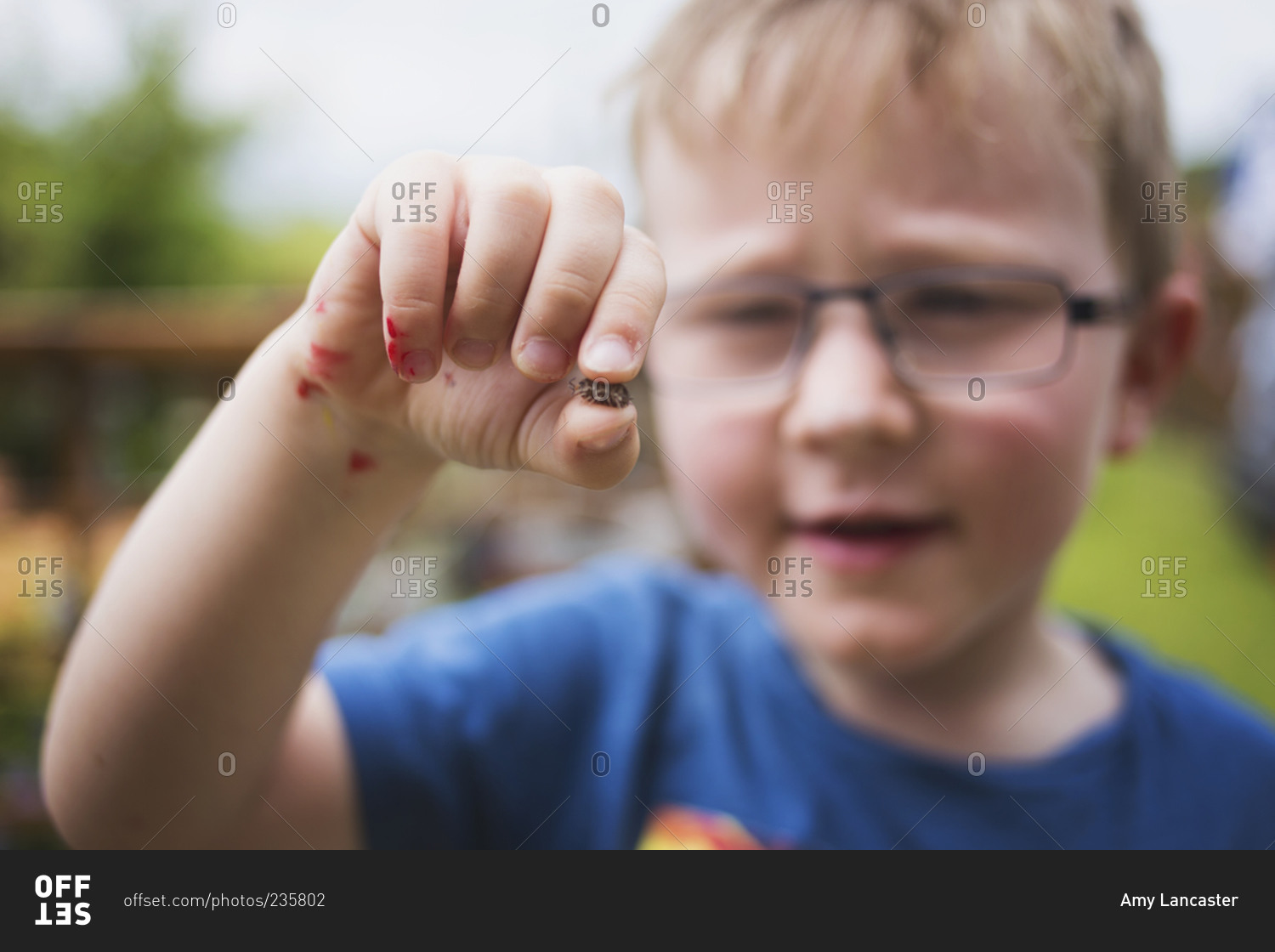 Little boy holding an insect