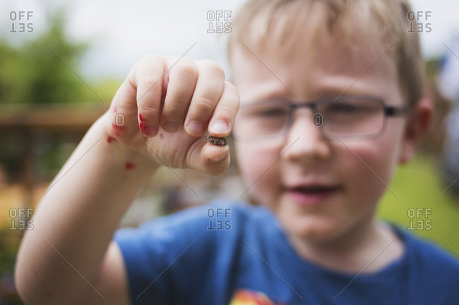 Little boy holding an insect