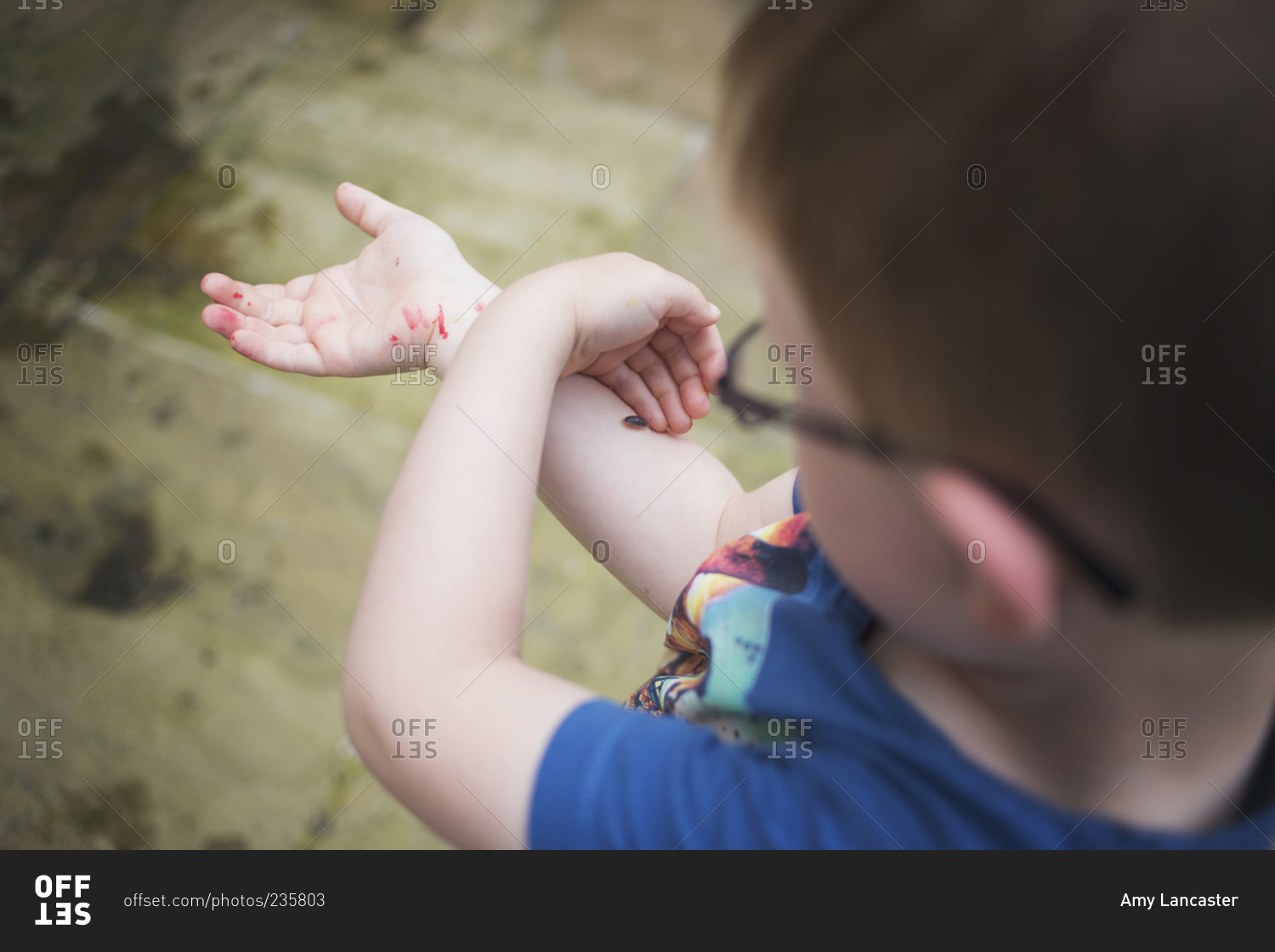 Little boy looking at an insect