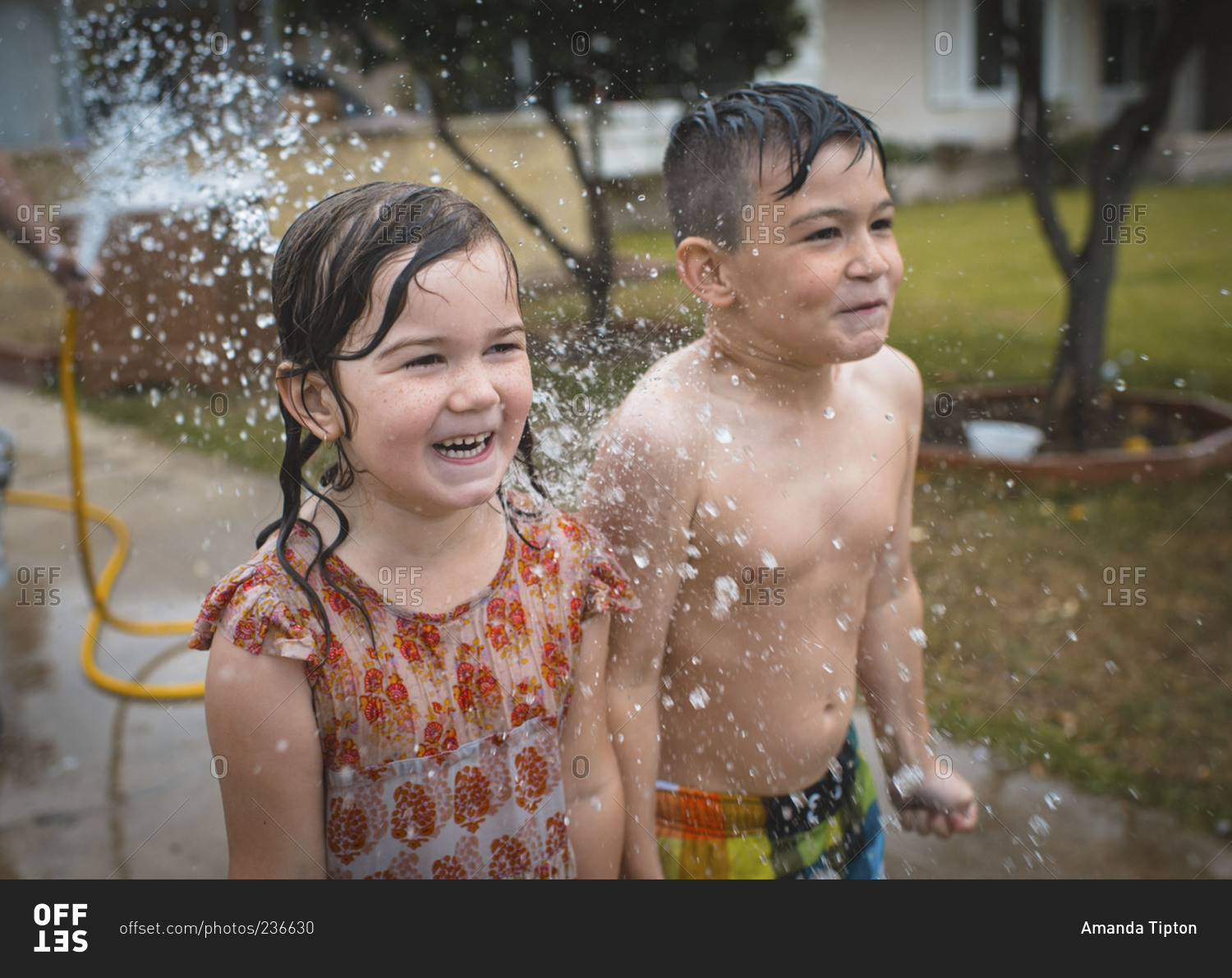 Children being splashed by a hose
