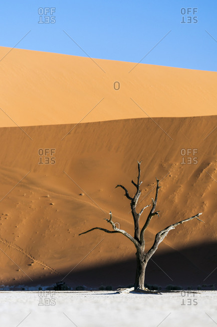 Salt pans in the Namib desert