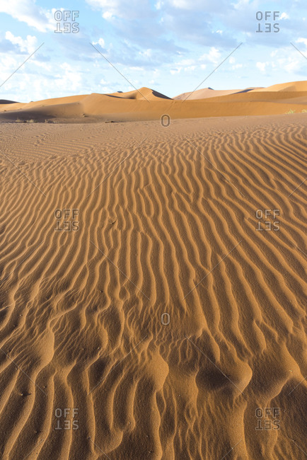 Patterns in the sand in the Namib desert