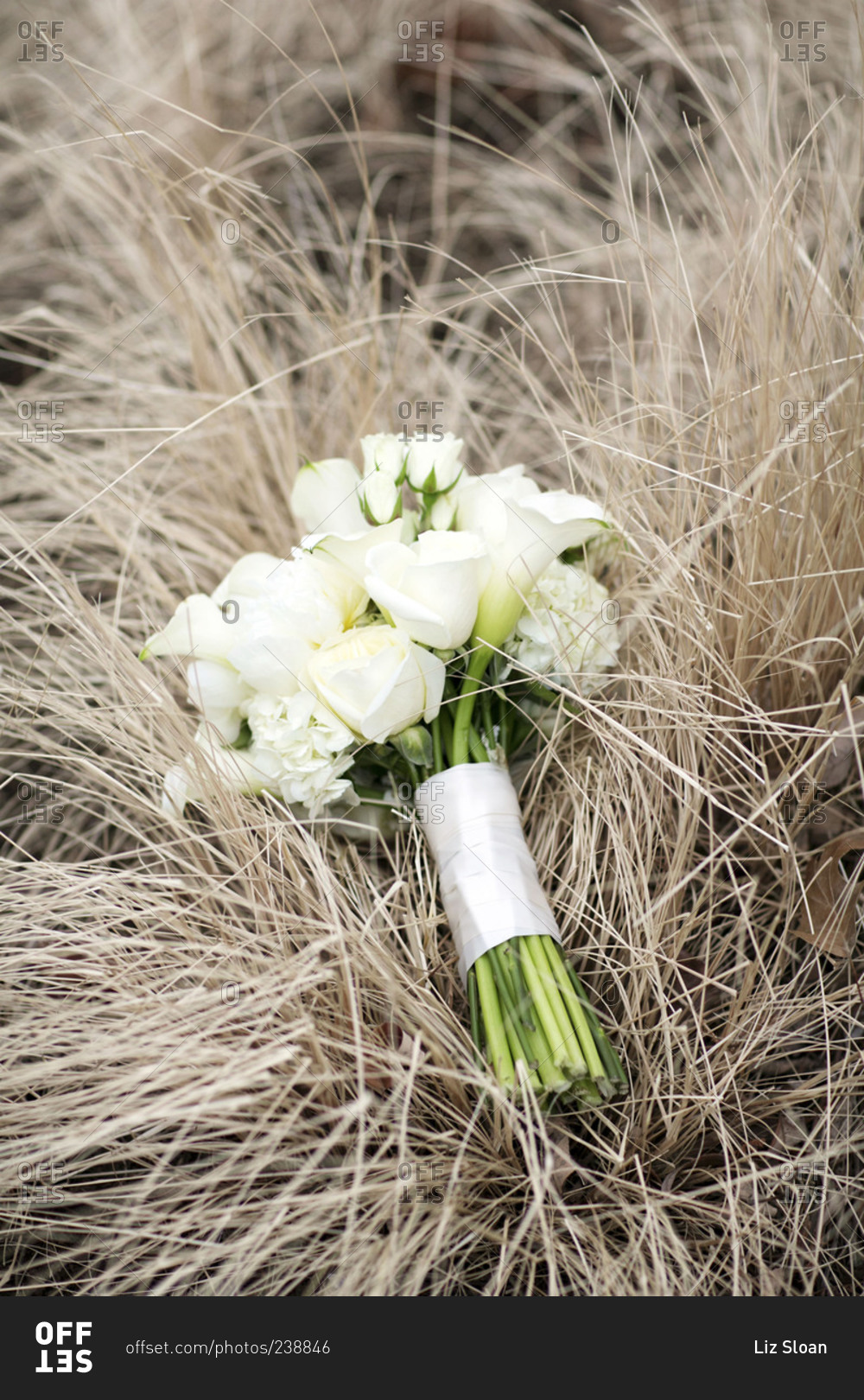 Bridal bouquet in the grass