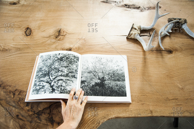 Accord, NY - October 31, 2011: An old reclaimed wood table with book on olive and apple trees