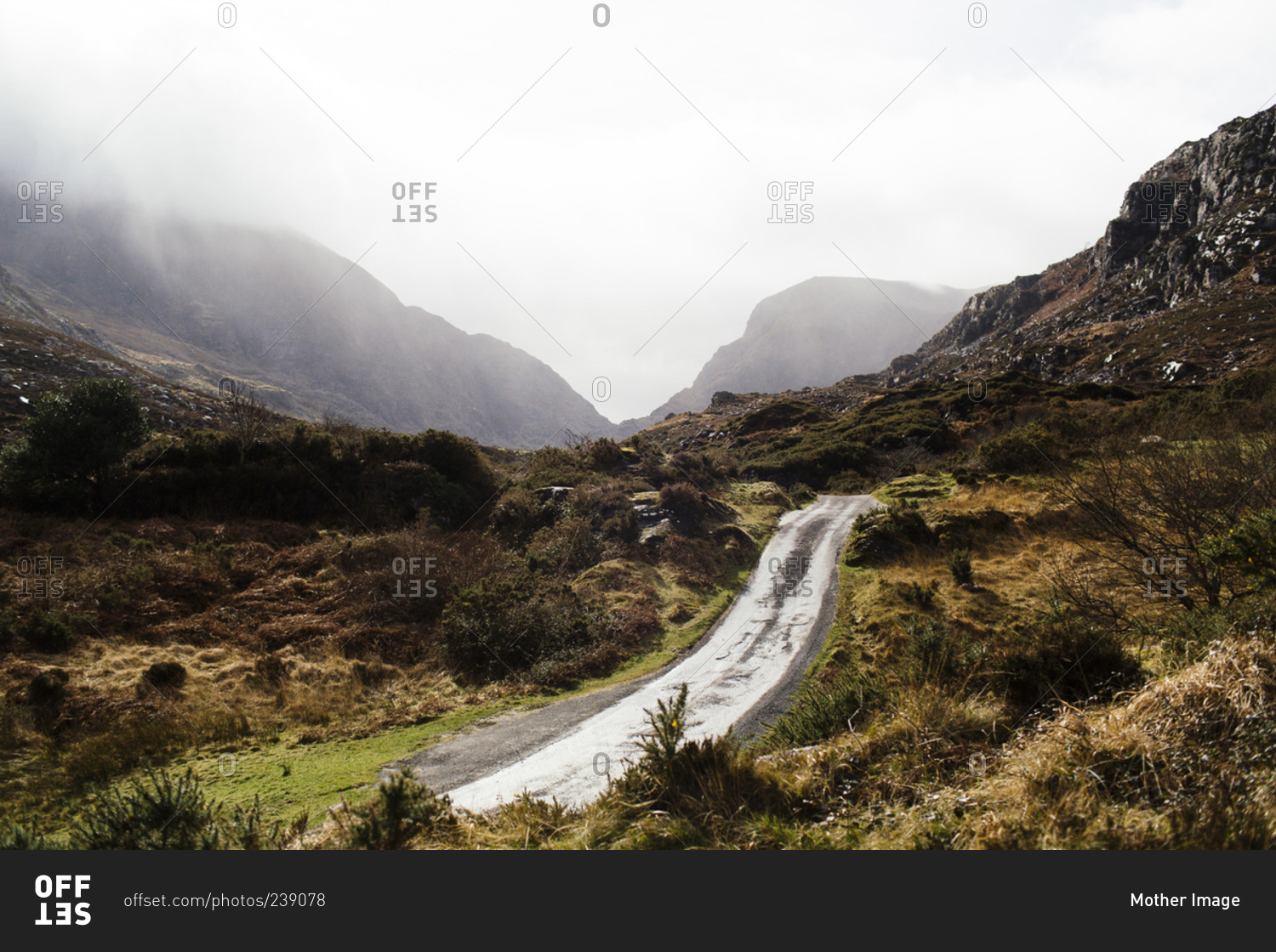 Side road in coastal Ireland landscape