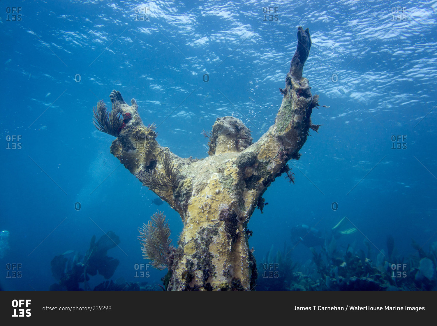 underwater jesus statue florida keys