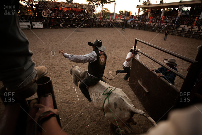 Starting Gate Stock Photos Offset