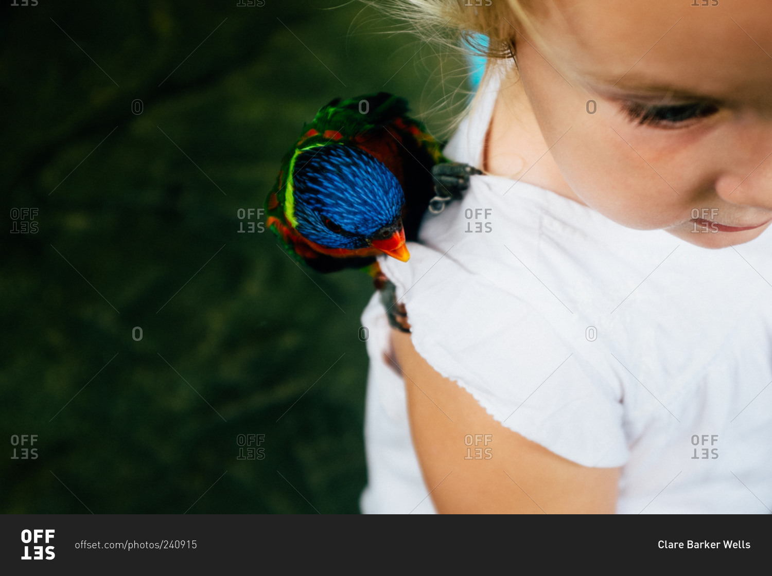 Little girl with a bird on her shoulder