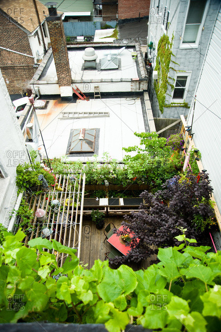 Brooklyn, New York - June 19, 2012: Overhead view of Alex Aguilar's garden