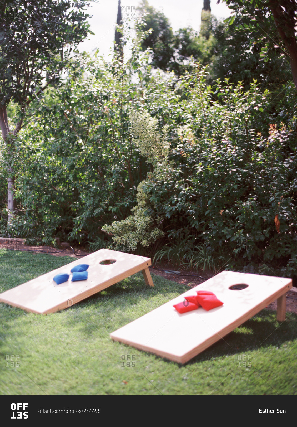 A lawn game in a back yard