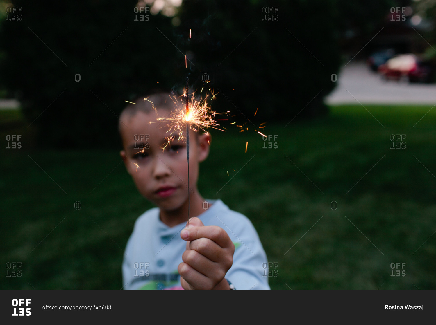 Portrait of boy holding a sparkler