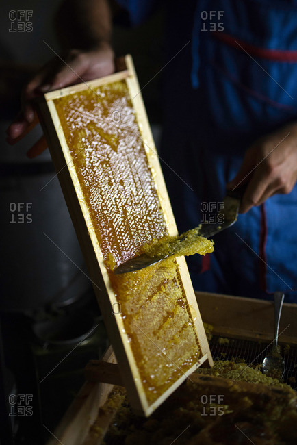 Uncapping frame of honey