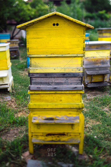 Old beehive in apiary