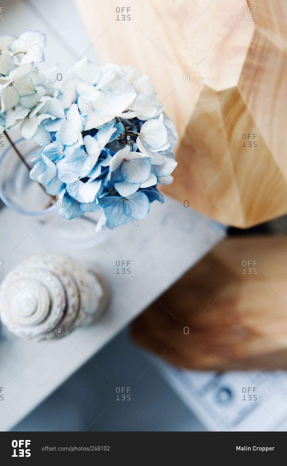 Blue hydrangeas on a table
