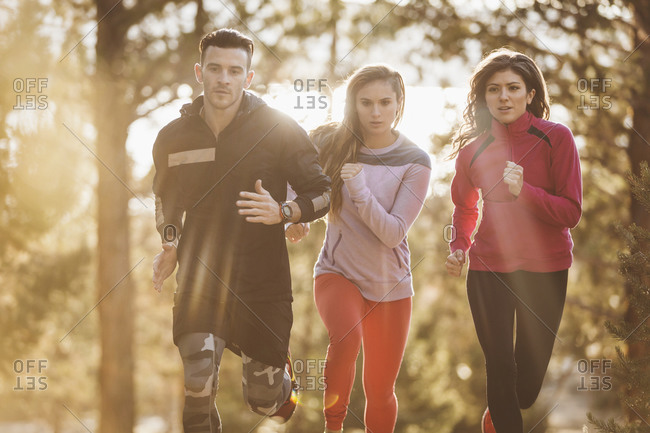 Three runners in a sunlit forest