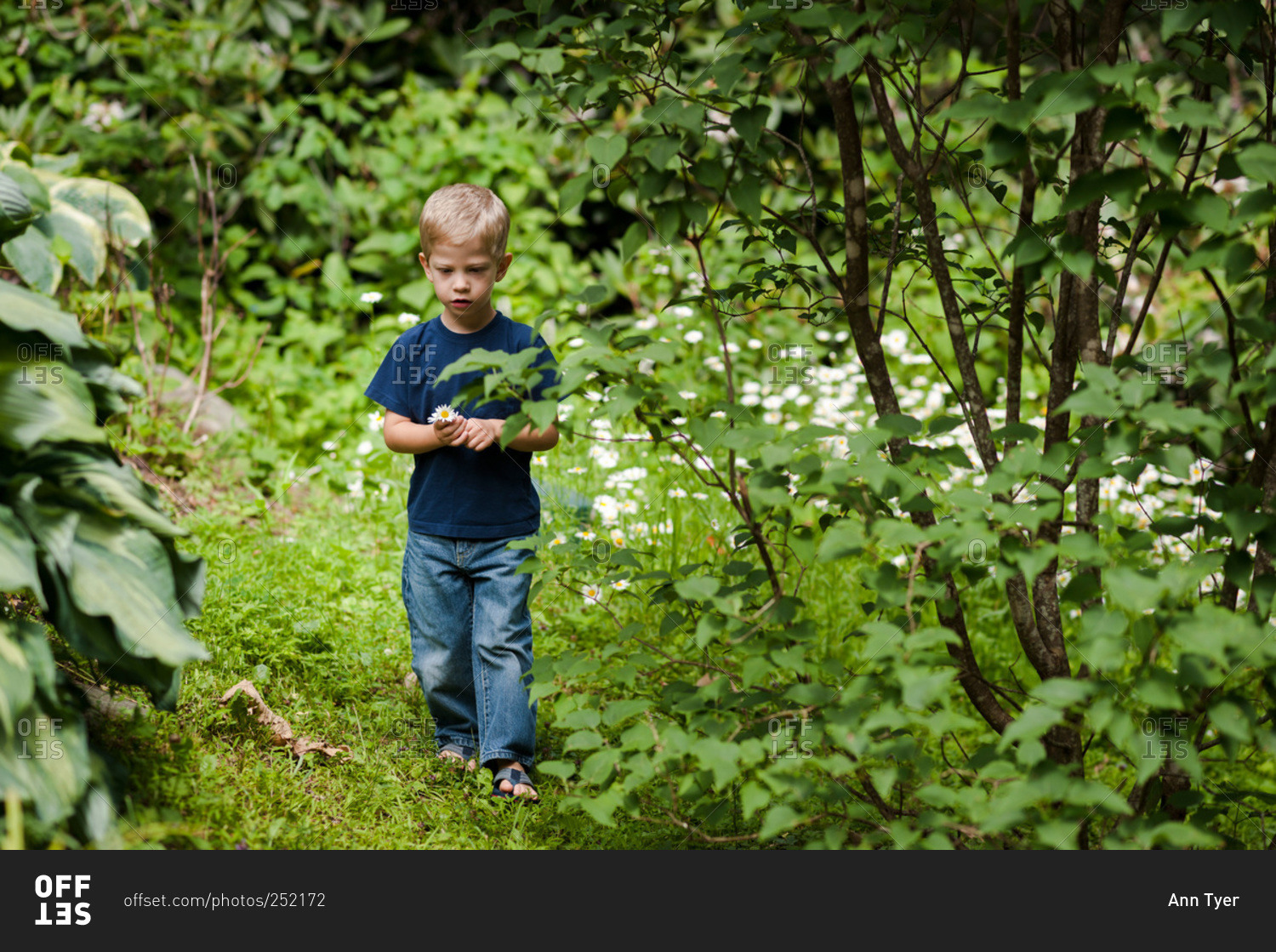 Little boy walking through woods stock photo - OFFSET