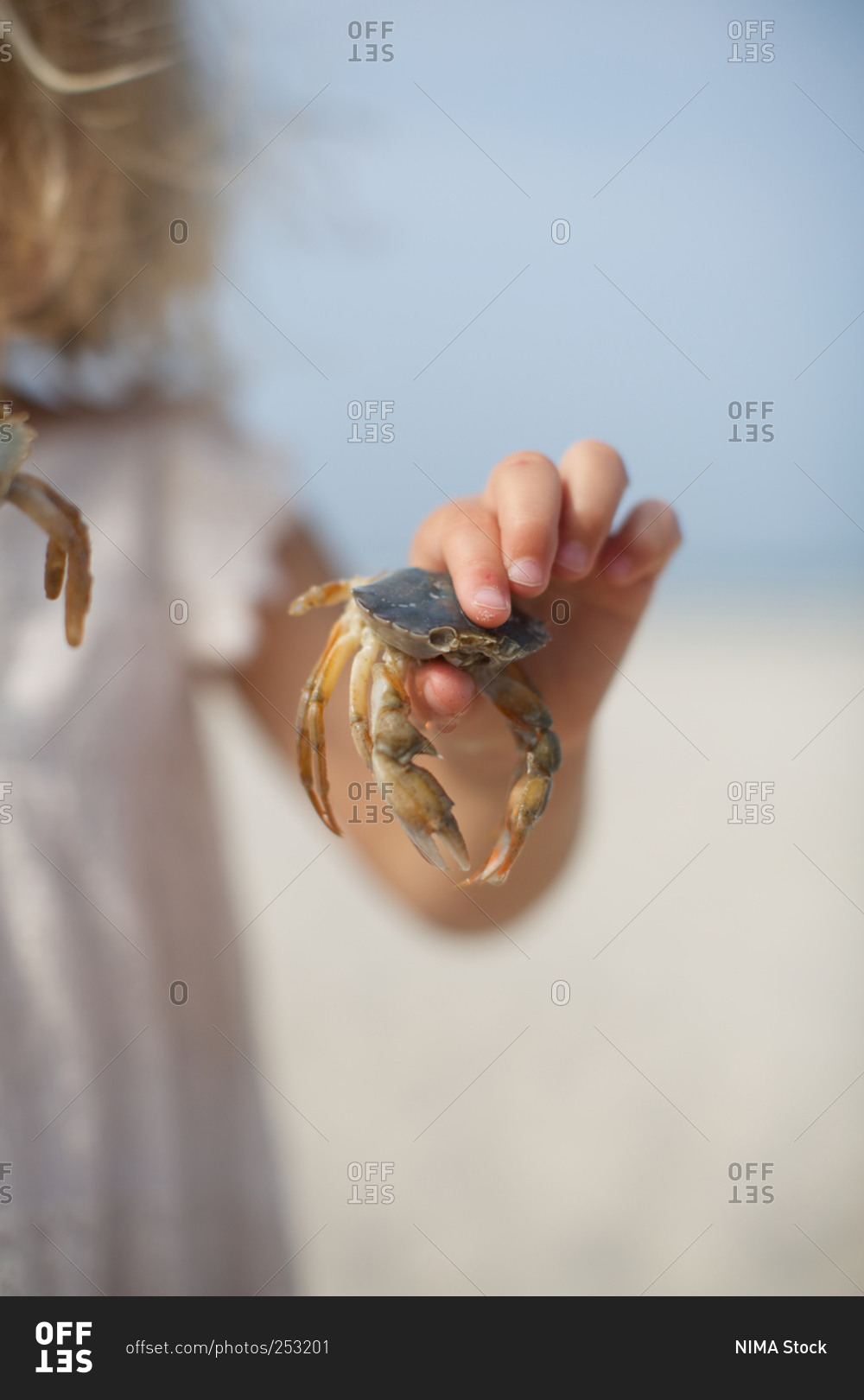 Little girl with crab in hand