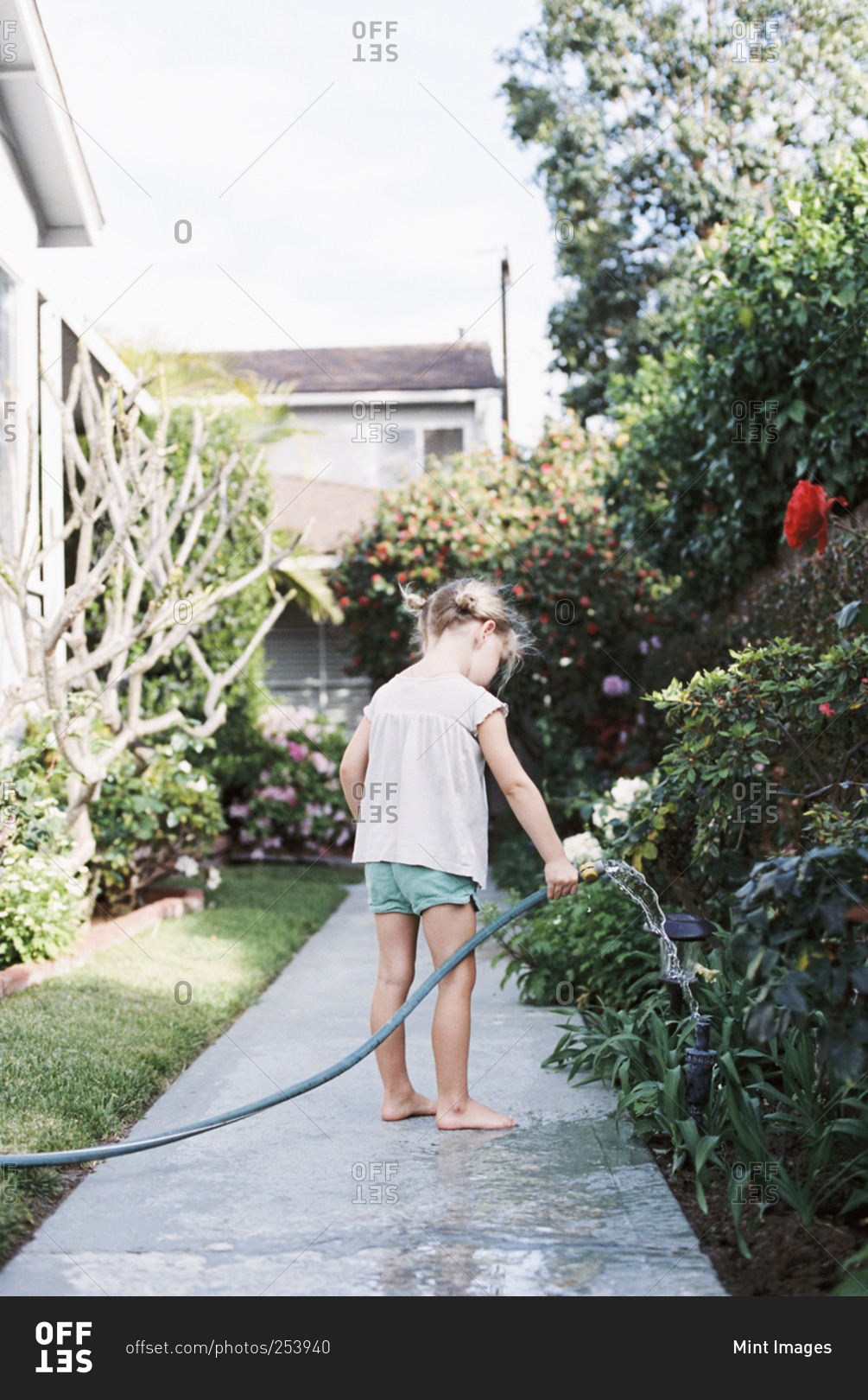 Young girl standing on a path in a garden, playing with a water hose