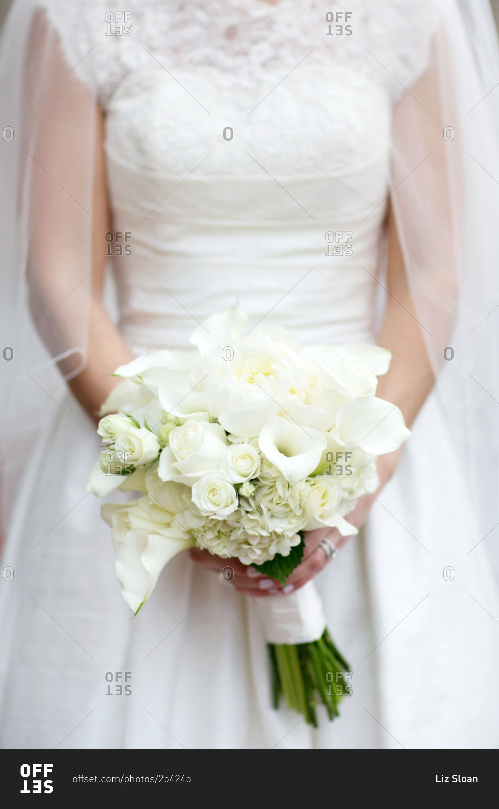 Bride in gown with rose bouquet