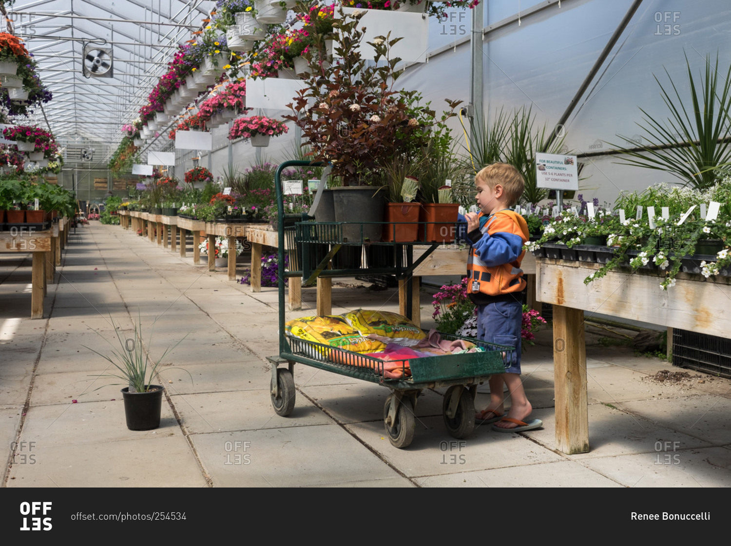 A boy helps shop for plants in a greenhouse