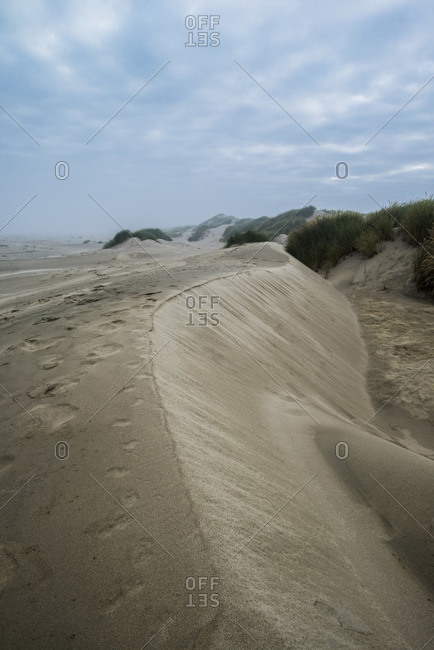 Eroded sand dunes in Oregon