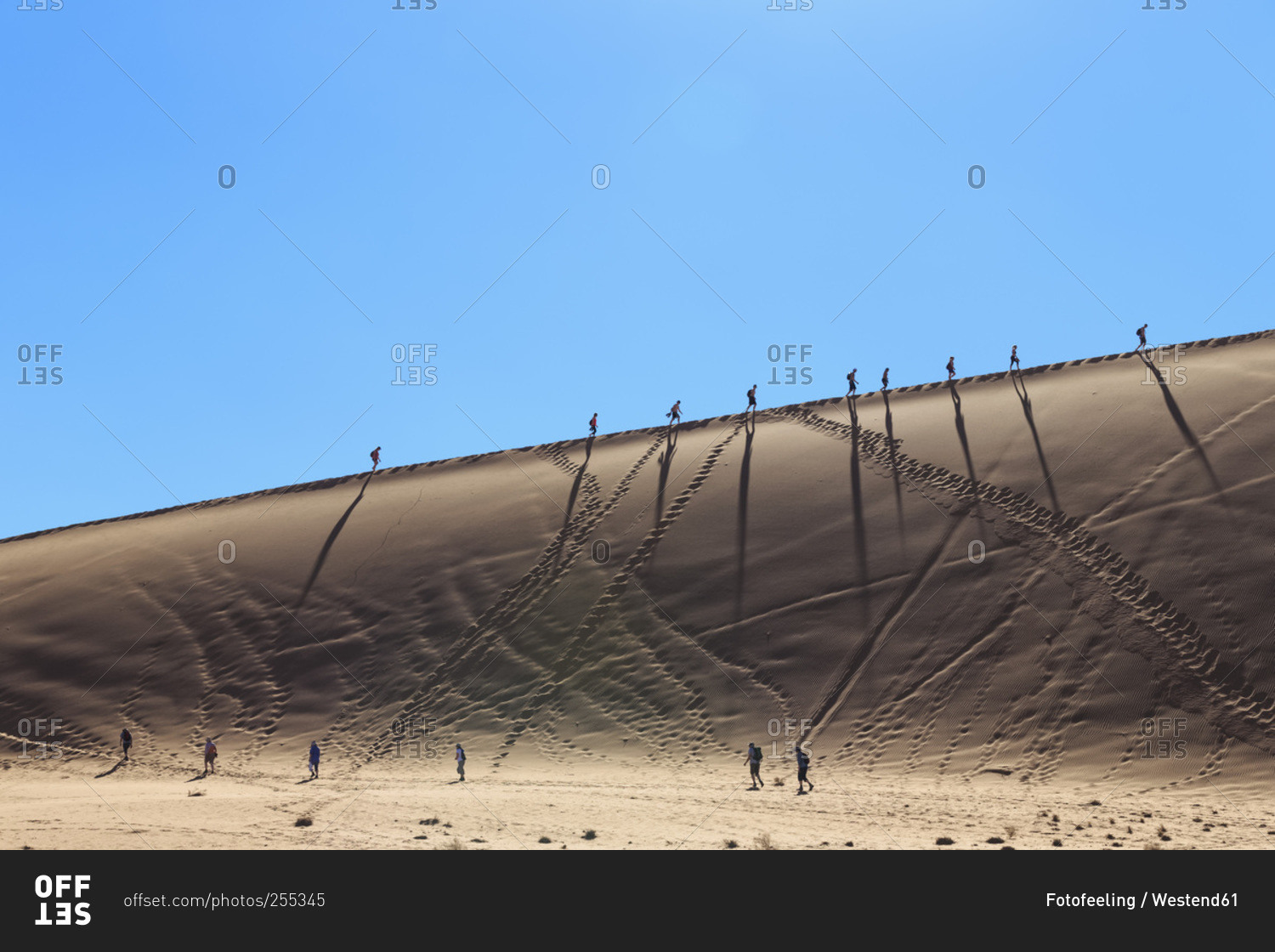 Tour group walking on desert dune, Namib Naukluft National Park