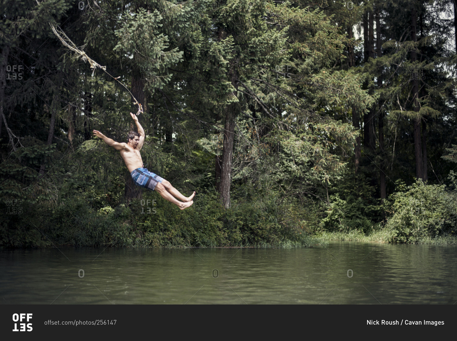 Man jumping off rope swing into rural pond stock photo OFFSET