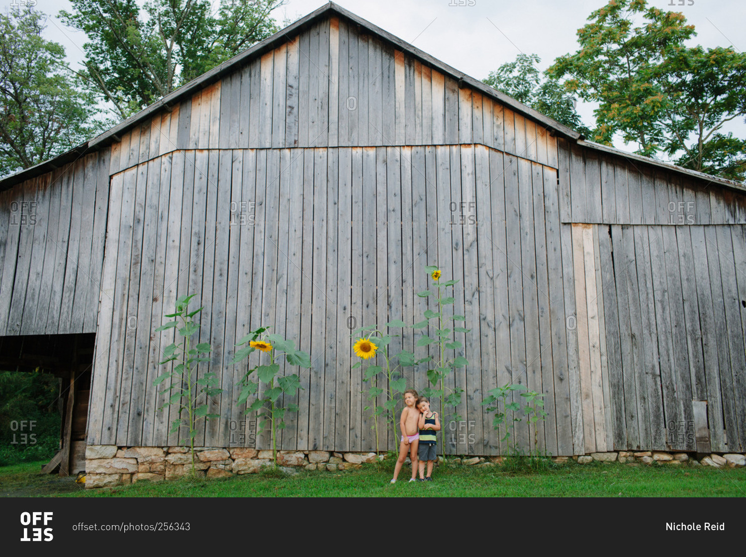 A brother and sister stand in front of towering sunflowers