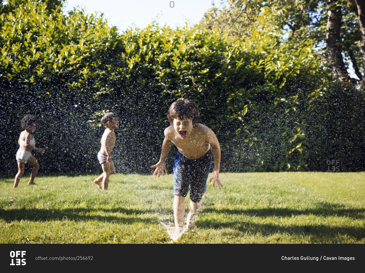 Boy putting face into water from sprinkler stock photo - OFFSET