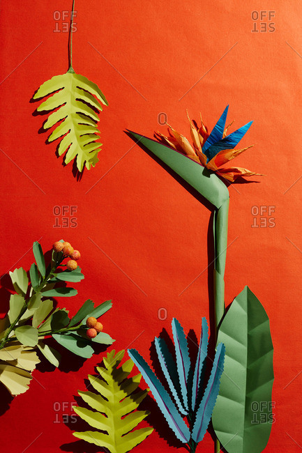 Hand crafted paper bird of paradise flower, ferns and leaves on orange paper background