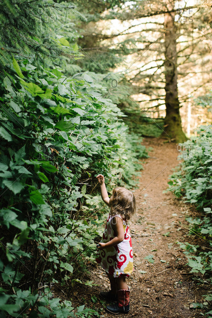 Girl picking berries in a forest