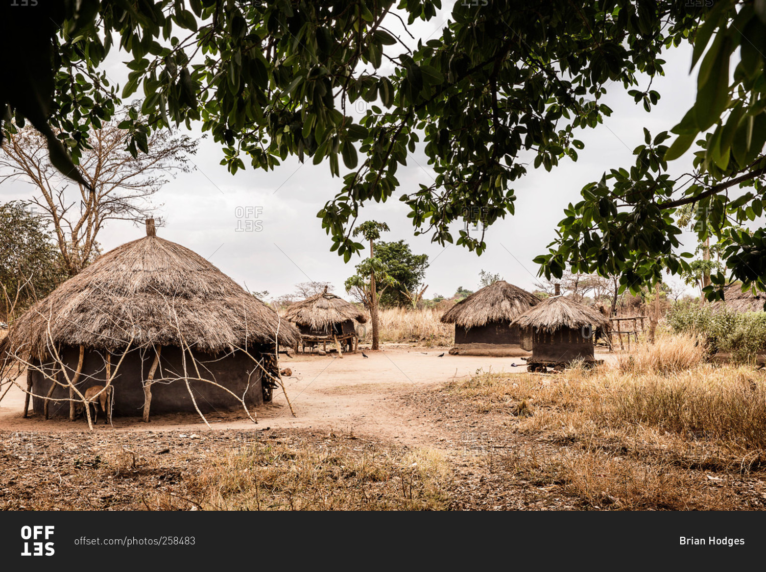 Thatched roof huts in a Ugandan village