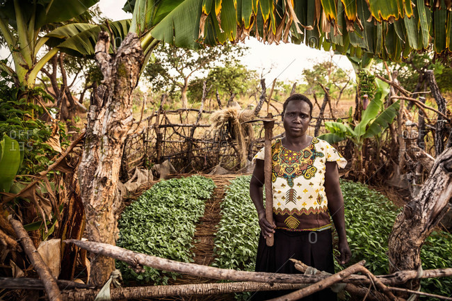 Omel, Uganda - March 3, 2015: Woman with a hoe standing in a garden