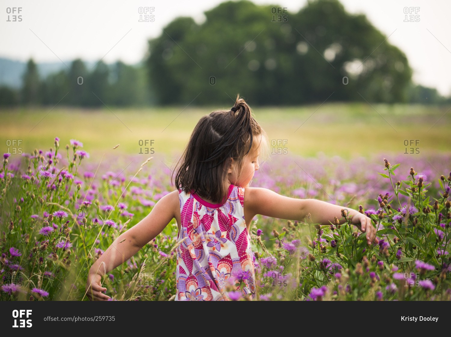 Young girl walking through field of purple flowers