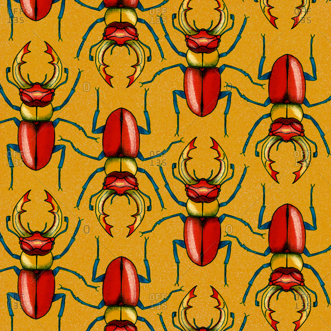 Pattern design with beetle motifs