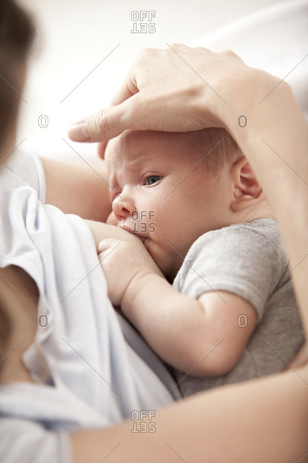 Mother Breast Feeding a Cute Baby. Newborn Girl. Stock Image