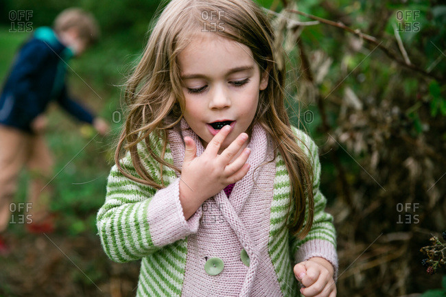 Young girl picking blackberries