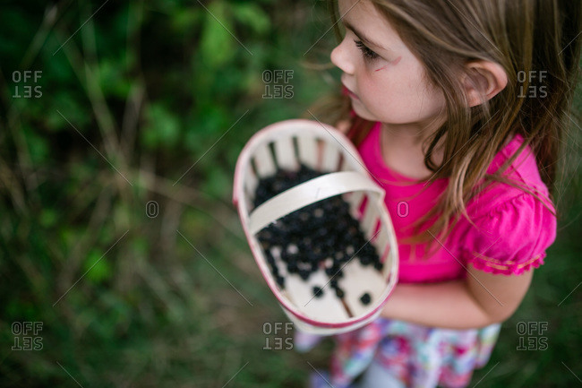 Overhead view of a girl holding a basket of freshly picked blackberries