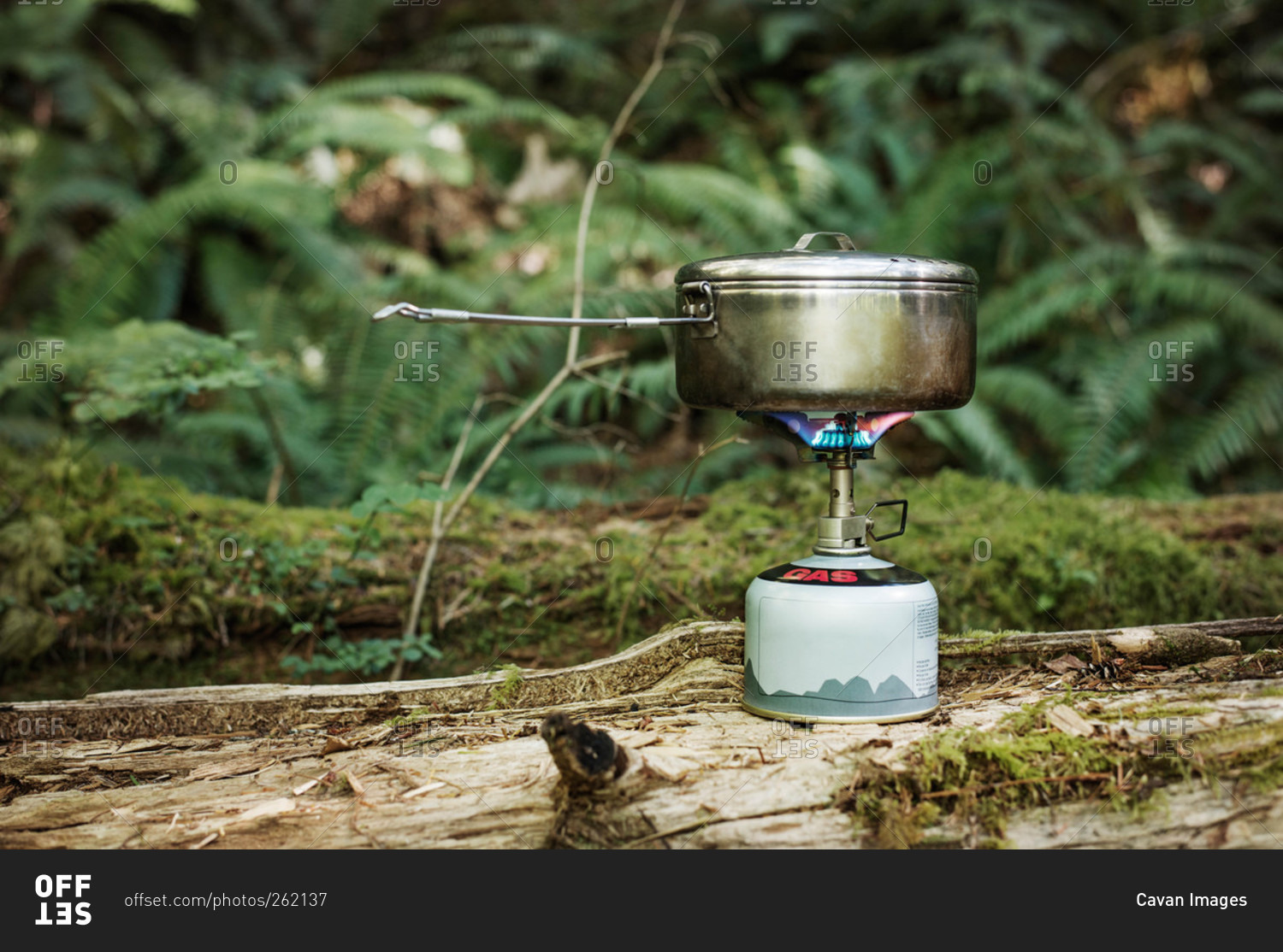 Cooking food on a camp stove