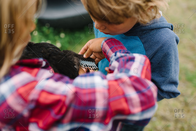 A boy shows his brother a duck wing