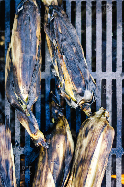 Charred corn in husks on a grill