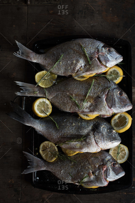 Whole fish on a tray with lemons and herbs