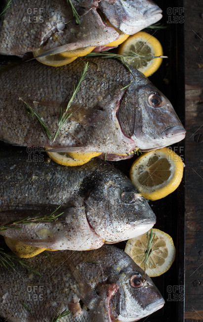 Whole fish on tray with lemons and herbs