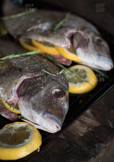 Whole fish on tray with herbs and lemon