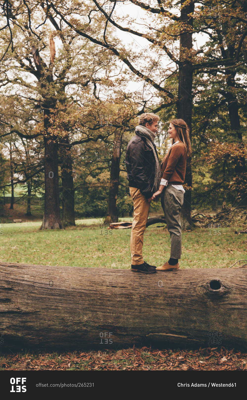 Young couple in love holding hands on a tree trunk in an autumnal park