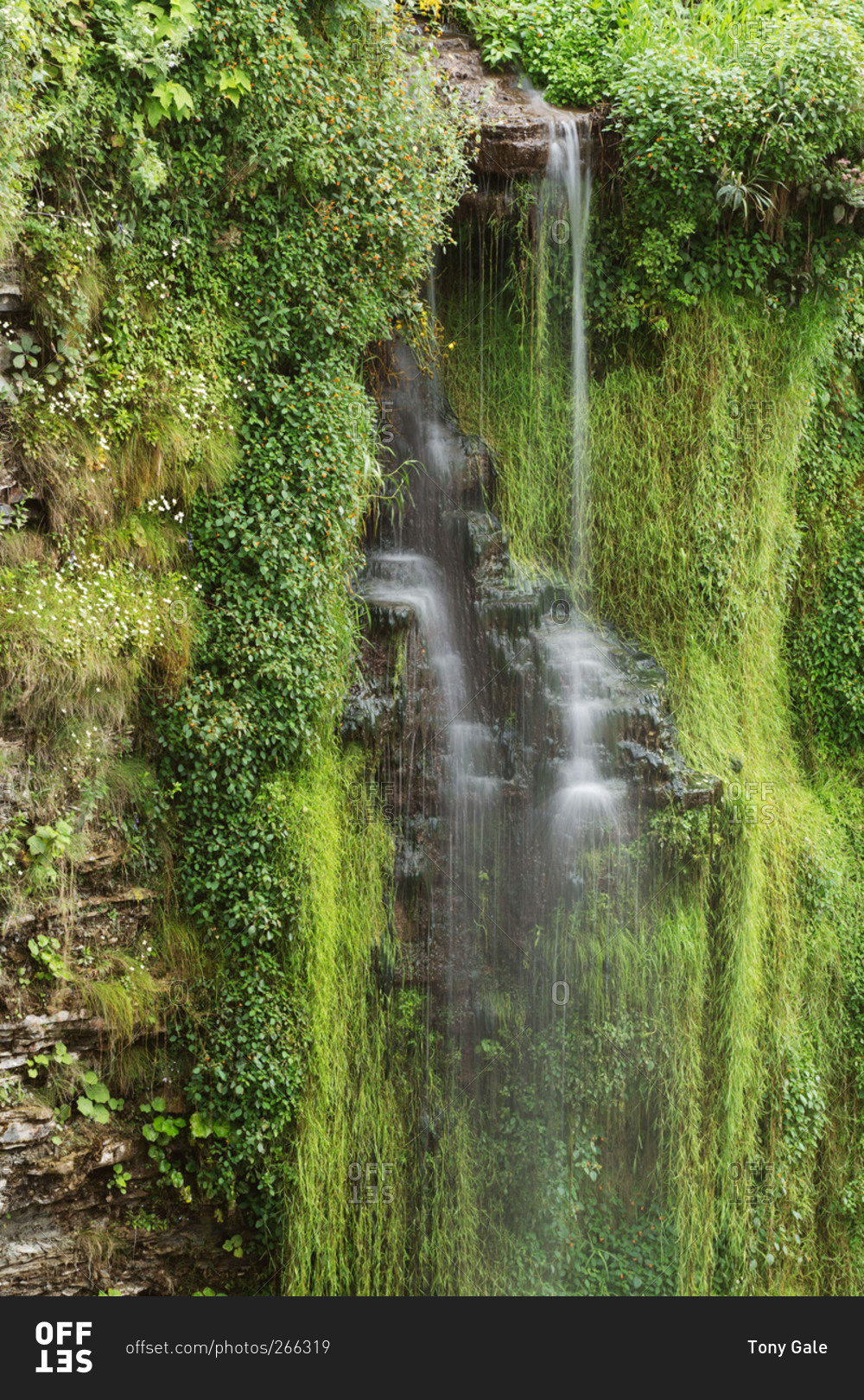 Cascade running over a verdant cliff